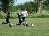 S.K.N.W.K. JO9-1 - Brouwershaven JO9-1 (competitie - 4e fase) (69/140)